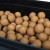 biała mamba kulki zanętowe 20mm 3kg B warmuz baits.jpg