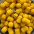 sweet corn 1.jpg
