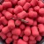 bloodworm 1.jpg